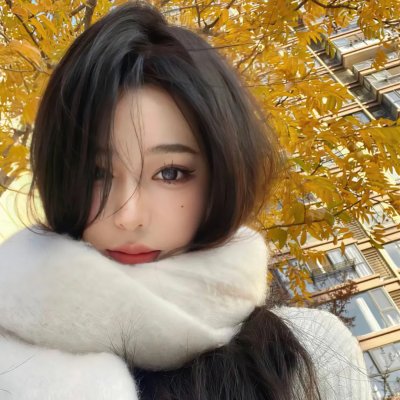 天才侦探御手洗洁:难解事件档案之折伞的女人